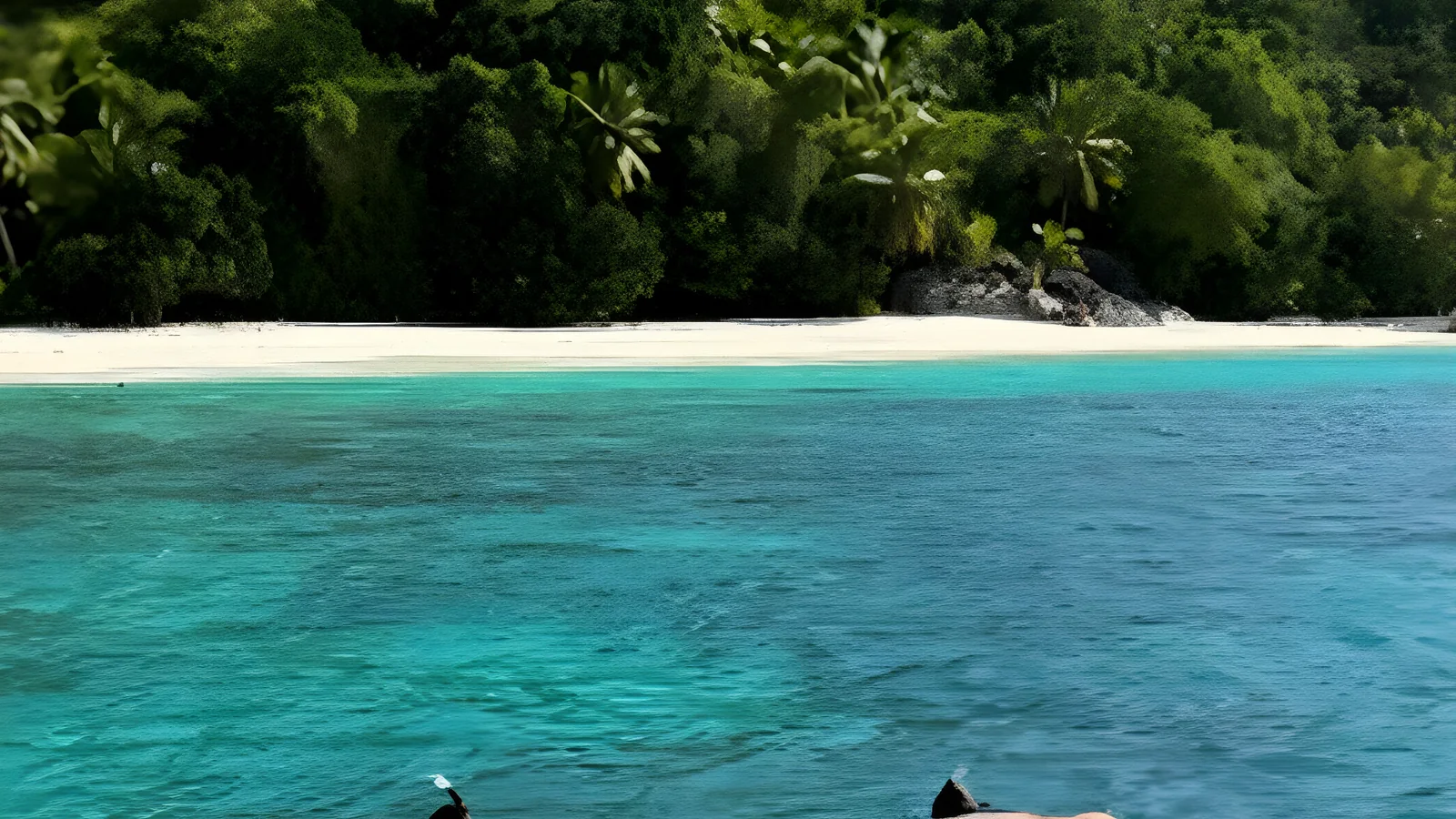 Snorkelling escapade